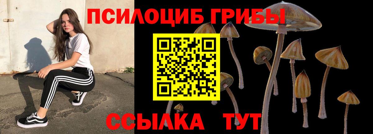 Псилоцибиновые грибы MAGIC MUSHROOMS Заречный