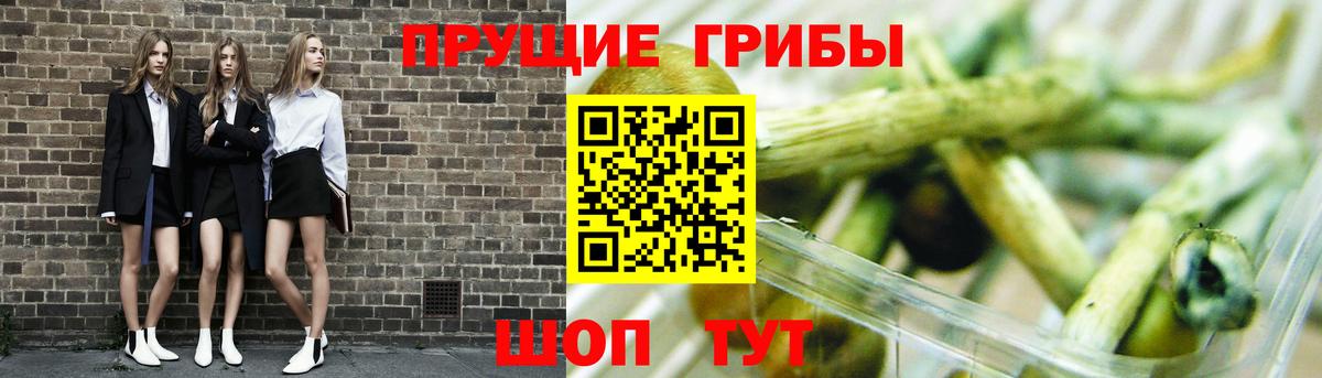 Псилоцибиновые грибы GOLDEN TEACHER  Вход с VPN  Галлюциногенные грибы MAGIC MUSHROOMS  Заречный 